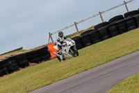 PJ-Motorsport-2019;anglesey-no-limits-trackday;anglesey-photographs;anglesey-trackday-photographs;enduro-digital-images;event-digital-images;eventdigitalimages;no-limits-trackdays;peter-wileman-photography;racing-digital-images;trac-mon;trackday-digital-images;trackday-photos;ty-croes